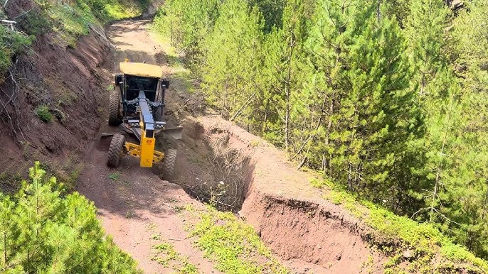 Telehandler Gallery 5